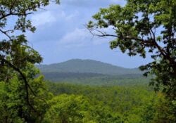 Owner Financed Hunting and Recreational Land in Missouri and Arkansas