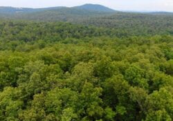 Owner Financed Hunting and Recreational Land in Missouri and Arkansas