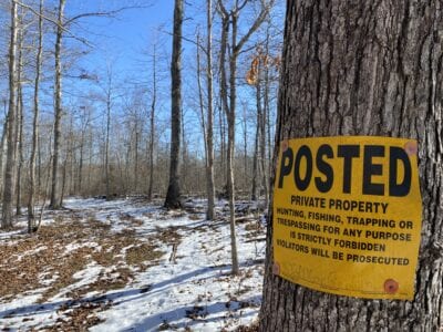 Owner Financed Hunting and Recreational Land in Missouri and Arkansas