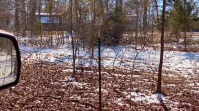 Owner Financed Hunting and Recreational Land in Missouri and Arkansas