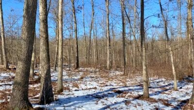 Owner Financed Hunting and Recreational Land in Missouri and Arkansas