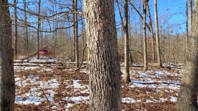 Owner Financed Hunting and Recreational Land in Missouri and Arkansas