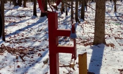 Owner Financed Hunting and Recreational Land in Missouri and Arkansas