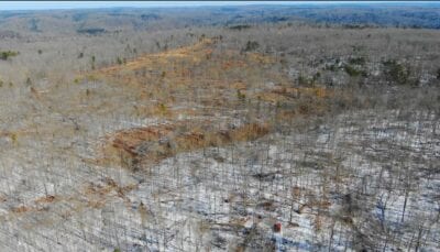 Owner Financed Hunting and Recreational Land in Missouri and Arkansas