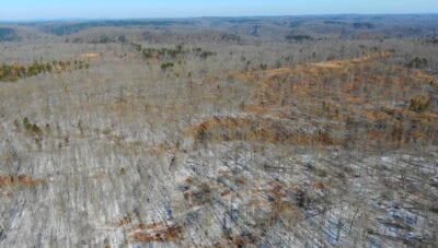 Owner Financed Hunting and Recreational Land in Missouri and Arkansas