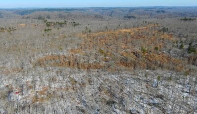 Owner Financed Hunting and Recreational Land in Missouri and Arkansas