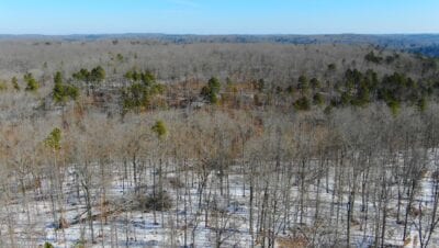 Owner Financed Hunting and Recreational Land in Missouri and Arkansas