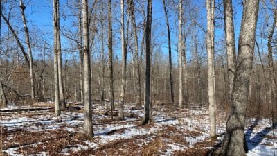 Owner Financed Hunting and Recreational Land in Missouri and Arkansas