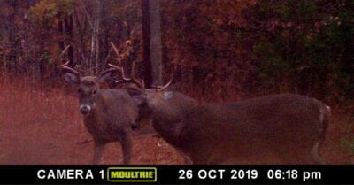 Owner Financed Hunting and Recreational Land in Missouri and Arkansas