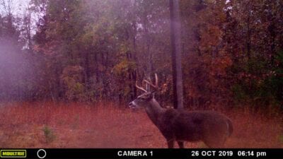 Owner Financed Hunting and Recreational Land in Missouri and Arkansas