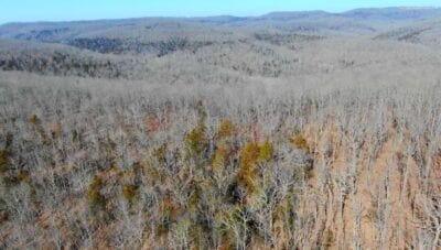 Owner Financed Hunting and Recreational Land in Missouri and Arkansas