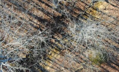 Owner Financed Hunting and Recreational Land in Missouri and Arkansas