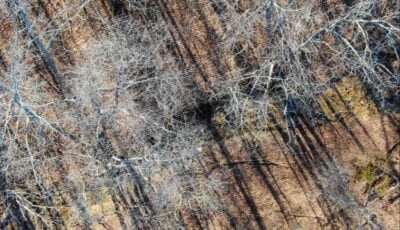 Owner Financed Hunting and Recreational Land in Missouri and Arkansas