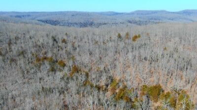 Owner Financed Hunting and Recreational Land in Missouri and Arkansas