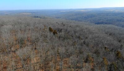 Owner Financed Hunting and Recreational Land in Missouri and Arkansas