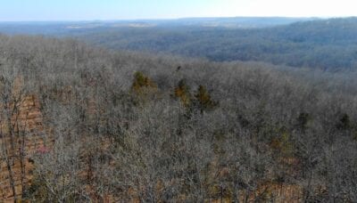 Owner Financed Hunting and Recreational Land in Missouri and Arkansas