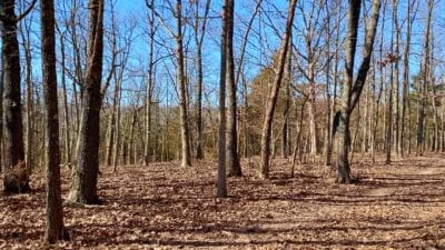 Owner Financed Hunting and Recreational Land in Missouri and Arkansas