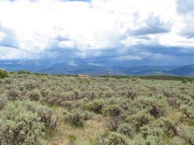 Owner Financed Hunting and Recreational Land in Missouri and Arkansas