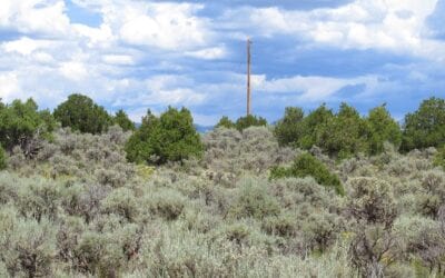 Owner Financed Hunting and Recreational Land in Missouri and Arkansas