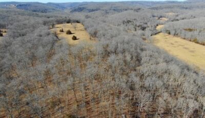 Owner Financed Hunting and Recreational Land in Missouri and Arkansas