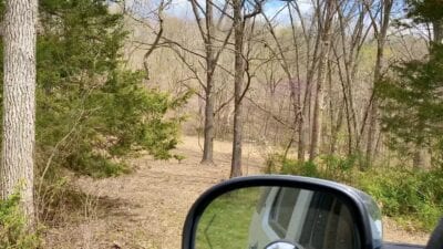 Owner Financed Hunting and Recreational Land in Missouri and Arkansas