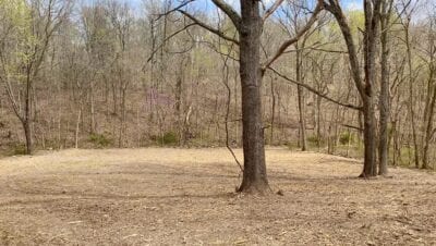 Owner Financed Hunting and Recreational Land in Missouri and Arkansas