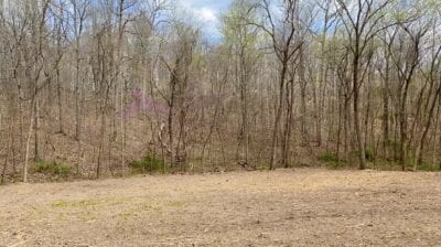 Owner Financed Hunting and Recreational Land in Missouri and Arkansas
