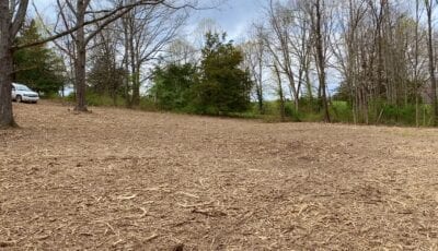 Owner Financed Hunting and Recreational Land in Missouri and Arkansas