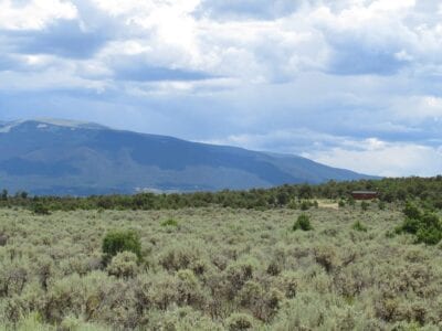 Owner Financed Hunting and Recreational Land in Missouri and Arkansas