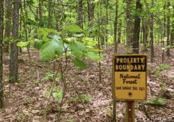 Owner Financed Hunting and Recreational Land in Missouri and Arkansas