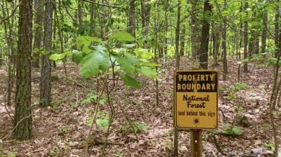 Owner Financed Hunting and Recreational Land in Missouri and Arkansas