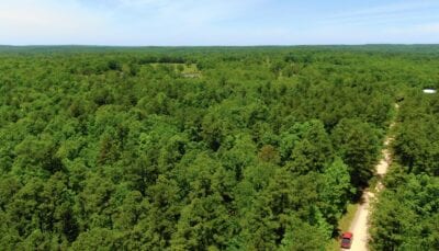 Owner Financed Hunting and Recreational Land in Missouri and Arkansas