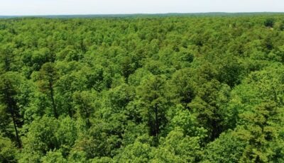 Owner Financed Hunting and Recreational Land in Missouri and Arkansas