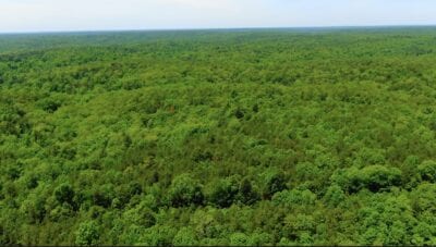 Owner Financed Hunting and Recreational Land in Missouri and Arkansas