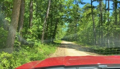 Owner Financed Hunting and Recreational Land in Missouri and Arkansas