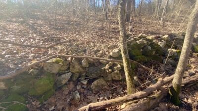Owner Financed Hunting and Recreational Land in Missouri and Arkansas