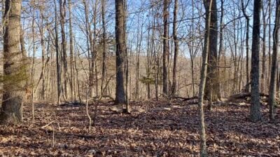 Owner Financed Hunting and Recreational Land in Missouri and Arkansas