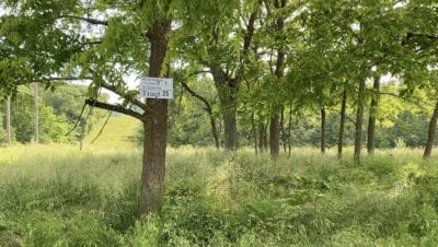 Owner Financed Hunting and Recreational Land in Missouri and Arkansas