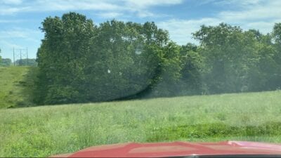 Owner Financed Hunting and Recreational Land in Missouri and Arkansas