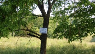 Owner Financed Hunting and Recreational Land in Missouri and Arkansas