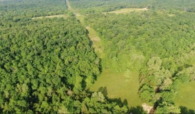Owner Financed Hunting and Recreational Land in Missouri and Arkansas