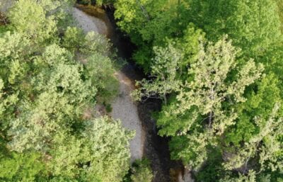 Owner Financed Hunting and Recreational Land in Missouri and Arkansas