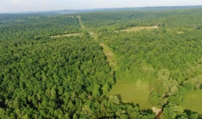 Owner Financed Hunting and Recreational Land in Missouri and Arkansas