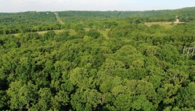 Owner Financed Hunting and Recreational Land in Missouri and Arkansas
