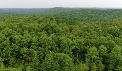 Owner Financed Hunting and Recreational Land in Missouri and Arkansas