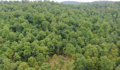 Owner Financed Hunting and Recreational Land in Missouri and Arkansas