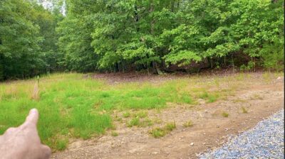 Owner Financed Hunting and Recreational Land in Missouri and Arkansas