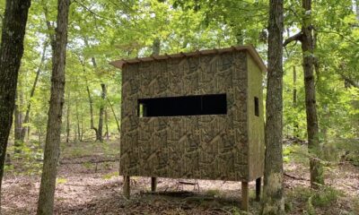 Owner Financed Hunting and Recreational Land in Missouri and Arkansas