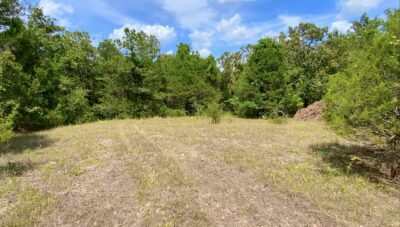 Owner Financed Hunting and Recreational Land in Missouri and Arkansas