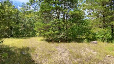 Owner Financed Hunting and Recreational Land in Missouri and Arkansas
